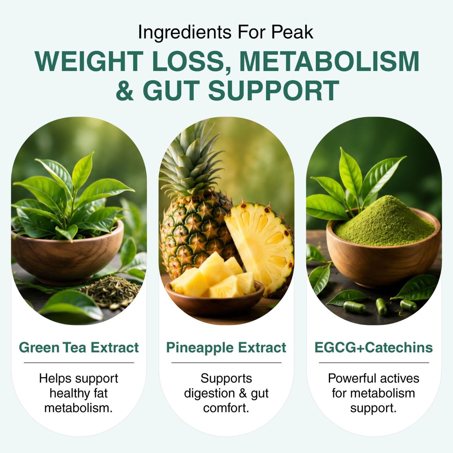 Green Tea 10:1 Extract 50% EGCG