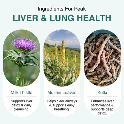 Lung & Liver Detox Tea