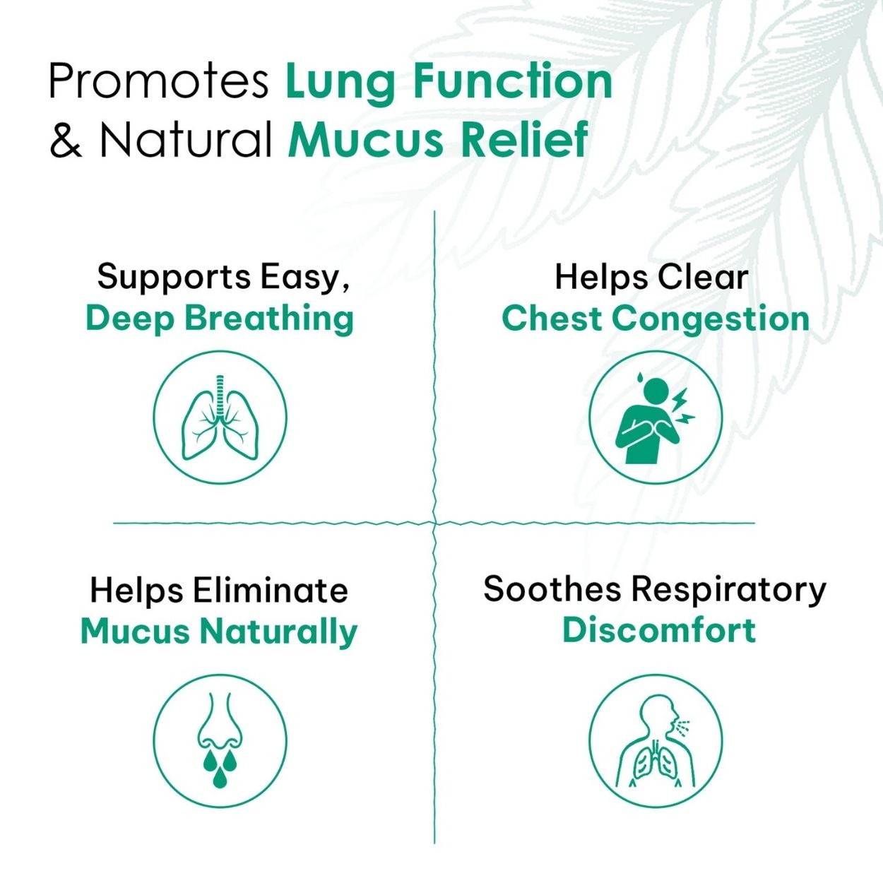 Lung Detox Tea